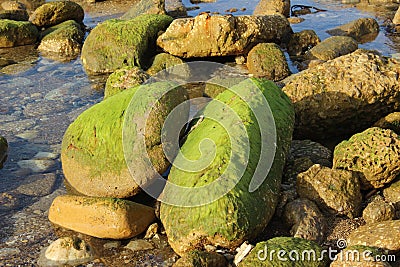 Stones on the seashore Stock Photo