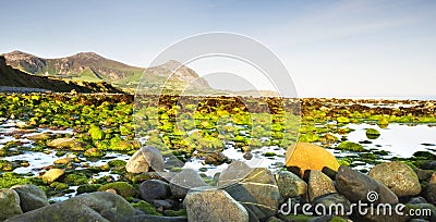 Stony beach after sunrise Stock Photo