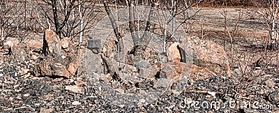 Stony rocky background - dry lifeless - banner image Stock Photo