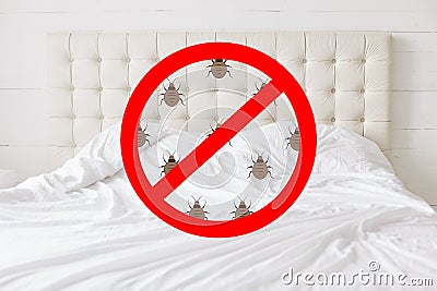 Stop sign with insects against bed background. There should be any bugs in bedroom. Hotel room being testified on cleanliness and Stock Photo