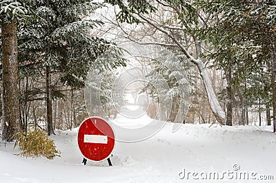 Stop Sign on winter country forest Road under snowfall Stock Photo