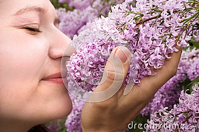 Stop and Smell the Lilacs Stock Photo
