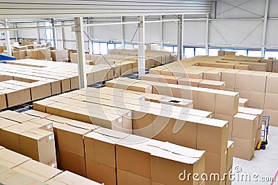 Storage of cardboard boxes in a large warehouse of an industrial Stock Photo