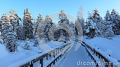 Storforsen in a fabulous winter landscape Stock Photo