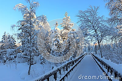 Storforsen in a fabulous winter landscape Stock Photo