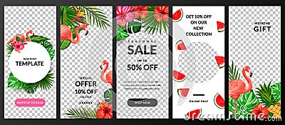 Stories, news or new post vector template for social network. Story background with tropical palm leaves and flamingo Vector Illustration