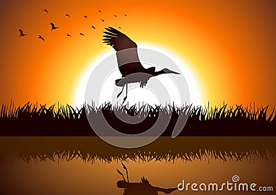 Stork Vector Illustration