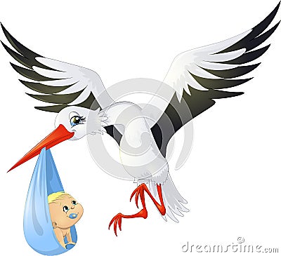 Stork Vector Illustration