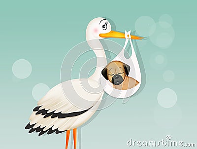 The stork brings a little dog Stock Photo