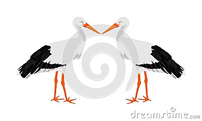 Stork couple in love vector illustration isolated on white background. Visitant, bird migration symbol. Baby time. Spring coming Cartoon Illustration