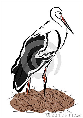 Stork Vector Illustration