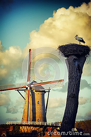 Stork nest next to traditional Holland mill Stock Photo