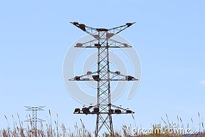 Stork nests on electricity poles at Alcolea de Cinca in Spain Stock Photo