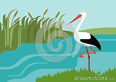 Stork river reeds flat design cartoon vector wild animals birds Vector Illustration