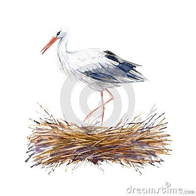 Stork on the roof in the nest. Newborn picture. Cartoon Illustration