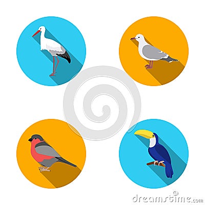 A stork, a seagull and various species. Birds set collection icons in flat style vector symbol stock illustration web. Vector Illustration