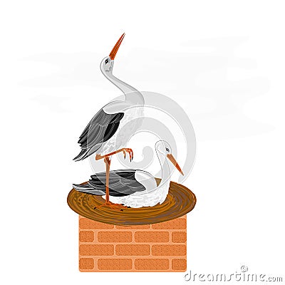 Storks and nest on a chimney vector Vector Illustration