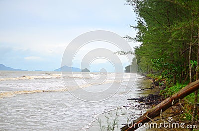 Storm beach Stock Photo