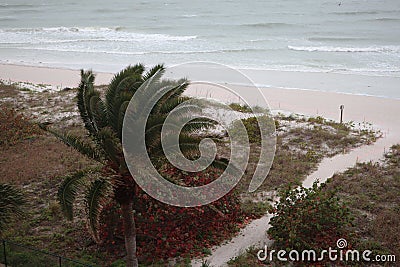 Storm on the beach. The seas are raging and the skies show the tropical storm as the power of nature is demonstrated. palm tree pu Stock Photo