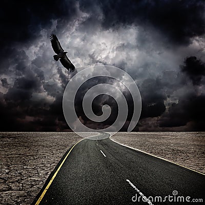 Storm, bird, road in desert Stock Photo