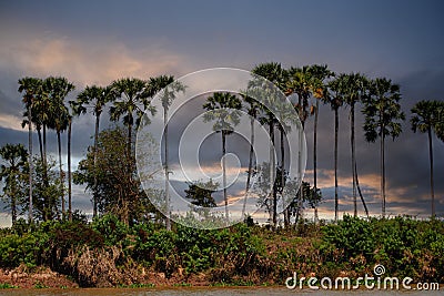 Storm clouds along the river bank in the Philippines Stock Photo