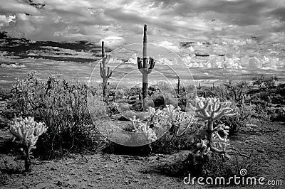 Storm clouds forming Sonora Desert Arizona in Infrared Stock Photo