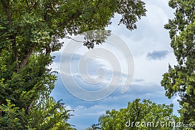 Storm clouds framed by a green treeline Stock Photo