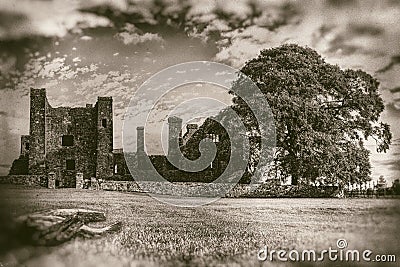 Ruins of old abbey with large tree and foreground logs in monochrome - vintage photography Stock Photo