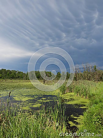 Storm clouds trail over wetlands in FingerLakes NYS Stock Photo