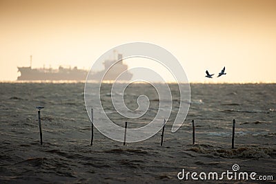 Storm is coming. Couple Seagulls flying, shipping goes to the ocean. Copy space. Life concept. Stock Photo