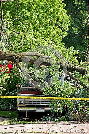 Storm Damage Stock Photo