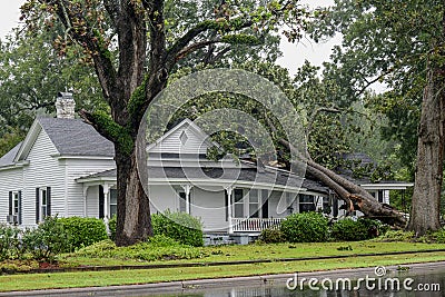 Storm damage in Wilson, NC from Hurricane Florence Editorial Stock Photo