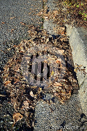 Storm drain surrounded by dead leaves, not ready for winter storms, residential street and curb Stock Photo