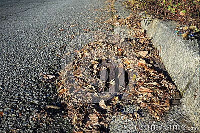 Storm drain surrounded by dead leaves, not ready for winter storms, residential street and curb Stock Photo