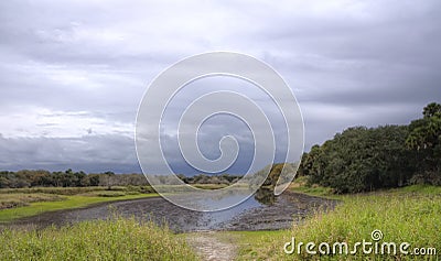 Storm, Myakka River State Park, Florida Stock Photo