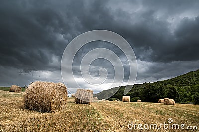 Storm over cereal field Stock Photo