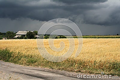 Storm over the field Stock Photo