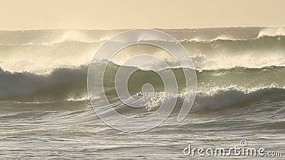 stormiga waves stormiga waves