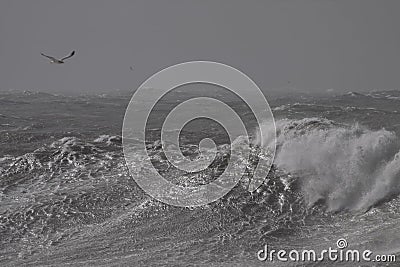 Stormy breaking waves Stock Photo