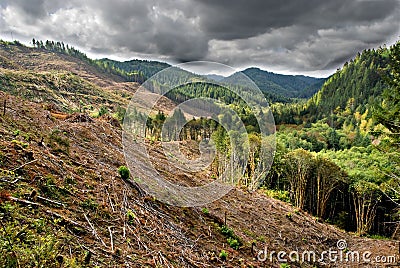Stormy Clear Cut Stock Photo