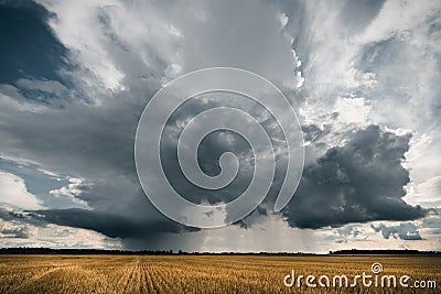 Stormy clouds in the golden fields Stock Photo