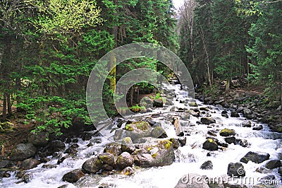 Stormy mountain river with rocks on the shore Stock Photo