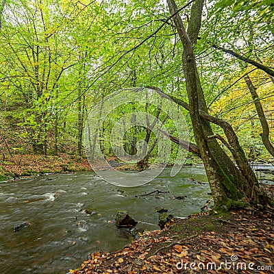 Stormy river flowing through the spring forest.selective focus, long exposure Stock Photo