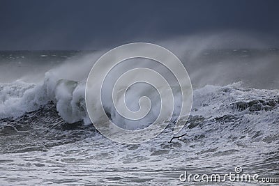 Stormy sea wave with spray Stock Photo