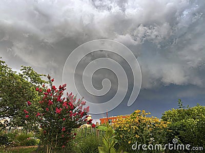 Stormy Summer Sky, Rainbow and Flowers Stock Photo