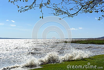 Stormy wind at Lake Balaton Stock Photo