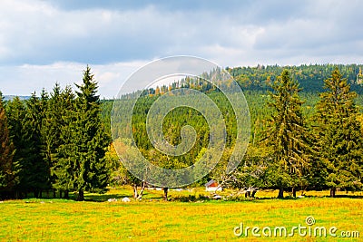 Stozec Mountain ridge with Stozec Rock on the top. Forest landscape of Sumava Mountains, Czech Republic Stock Photo