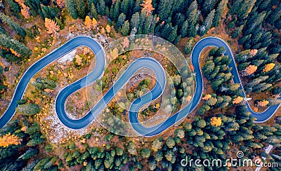 Straight down view of winding road in autumn forest. Stock Photo
