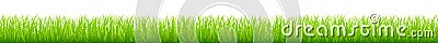 Graphic Straight Green Meadow Long Horizontal Banner Vector Illustration