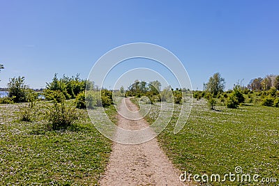 Straight hiking trail disappearing into the background, green grass with small white flowers Stock Photo